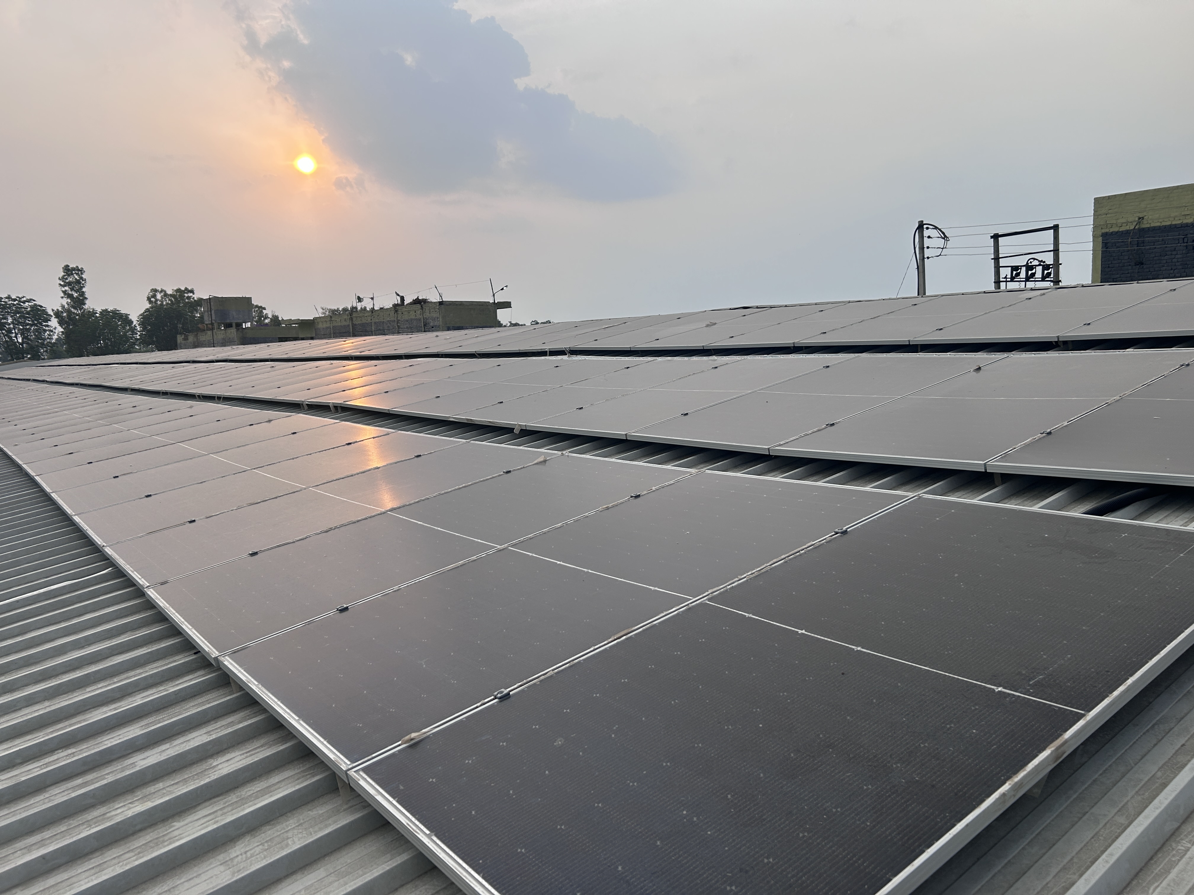 Dhanda Breeding  Dillowala308kw